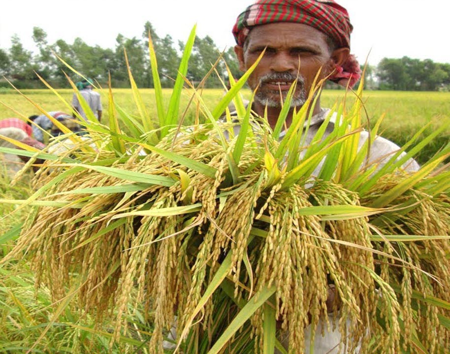 কৃষি উন্নয়ন
