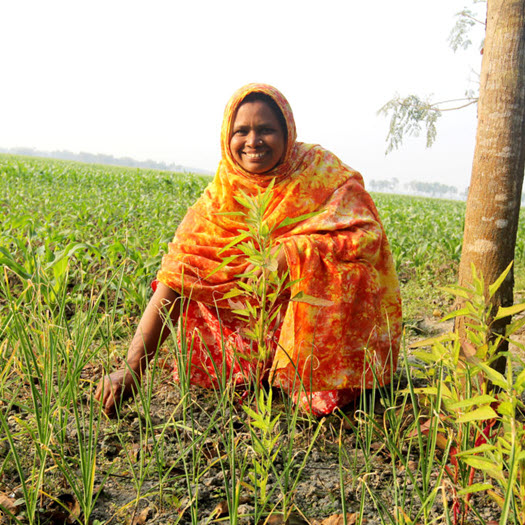 সামাজিক কল্যাণ